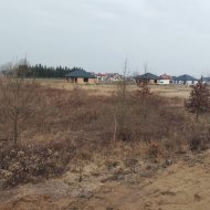 Dom na sprzedaż
