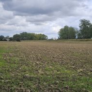 Dom na sprzedaż