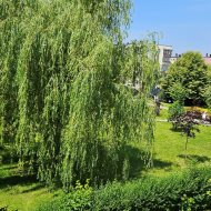 Mieszkanie na wynajem