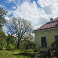 Dom na sprzedaż