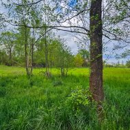 Dom na sprzedaż