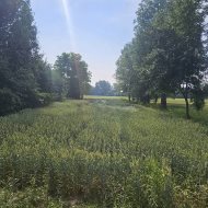 Dom na sprzedaż