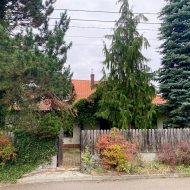 Dom na sprzedaż